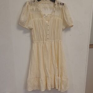 New Mine Ivory Lace-Trim Mini Dress